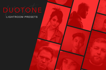 DUOTONE - Lightroom Presets