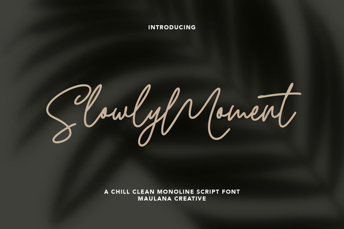 Slowly Moment Clean Monoline Script Font