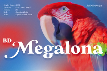 BD Megalona | Elegant Luxury Serif Font Family