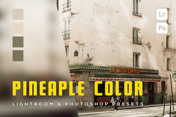 6 Pineaple color Lightroom and Photoshop