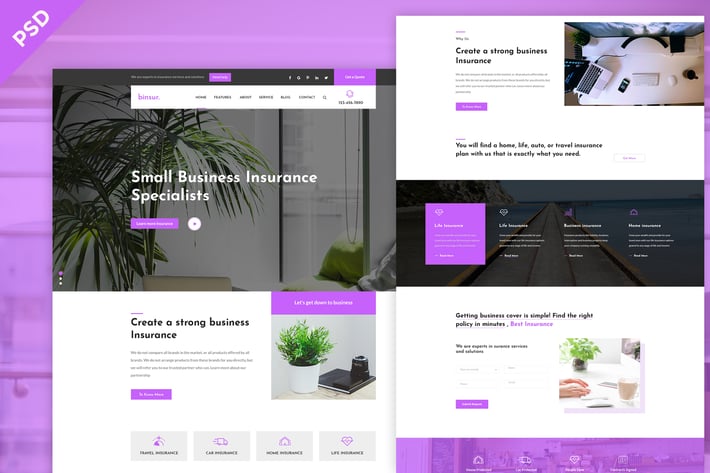 Binsure Insurance/Agency PSD Template