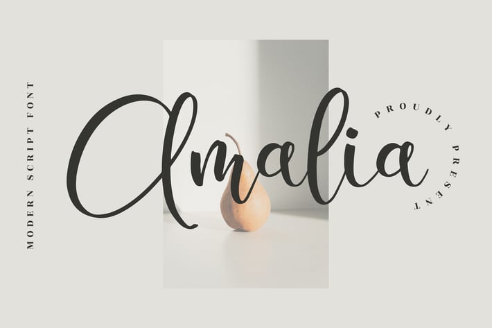 Amalia Modern Script Font