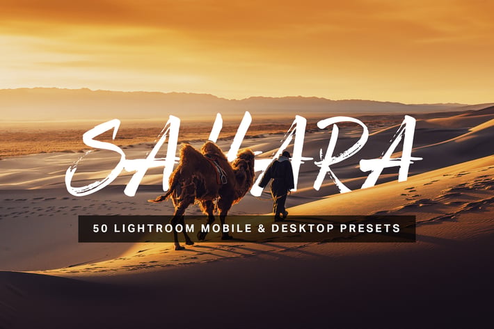 50 Sahara Lightroom Presets and LUTs