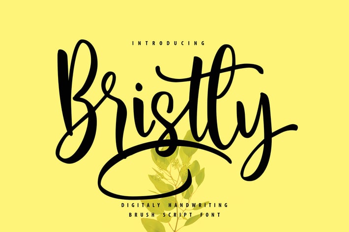 Bristly | Handwriting Brush Script Font