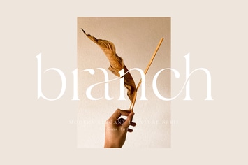 Branch