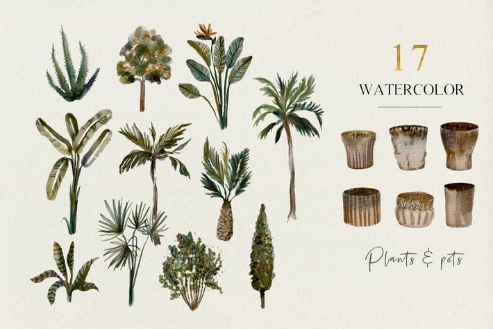 17 Tropical plants and pots - watercolor set 