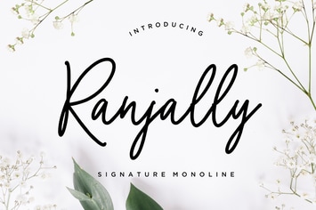 Ranjally Monoline Signature Business Font