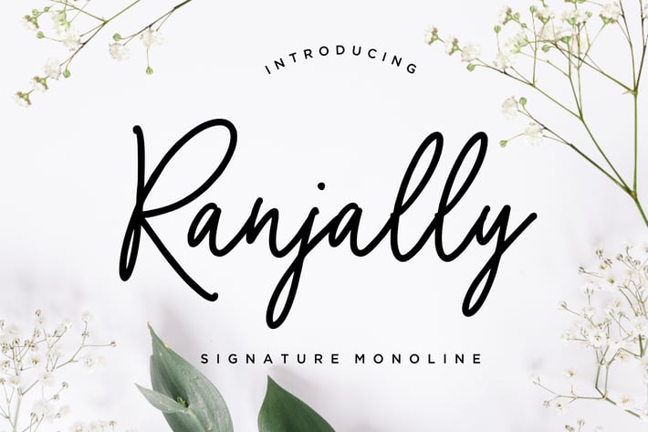 Ranjally Monoline Signature Business Font