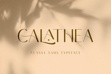Elegant Sans Serif Font