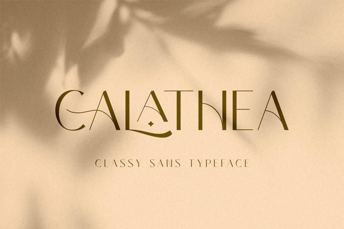 Elegant Sans Serif Font