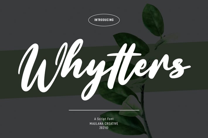 Whytters Script Font