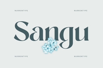 Sangu Sophisticated Serif
