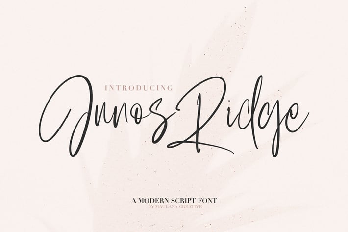 Junos Ridge - Handwritten Brush Font