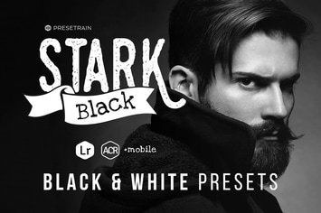 Stark Black - Dramatic Black & White Presets