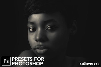Monochromatic Vol. 2 - 20 Photoshop Presets
