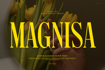 Worgys Modern Elegant Serif Font Typeface