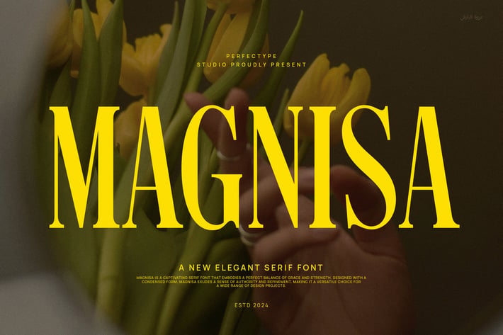 Worgys Modern Elegant Serif Font Typeface