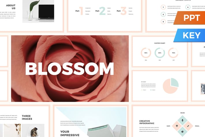 Blossom Presentation Template