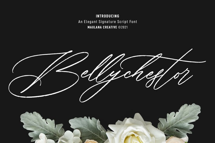 Bellychestor Elegant Signature Script Font