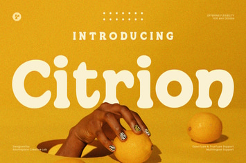 Citrion - Retro Serif Rounded Font