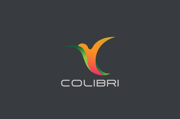 Logo Humming bird flying abstract