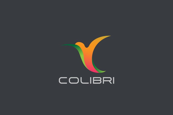 Logo Humming bird flying abstract