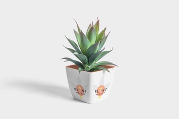 Flower Pot Mockup