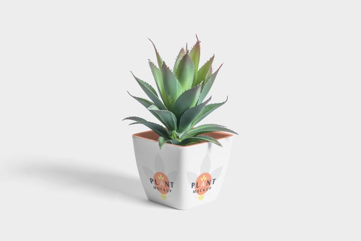 Flower Pot Mockup