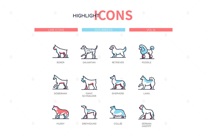 Dog breeds - modern line design style icons set