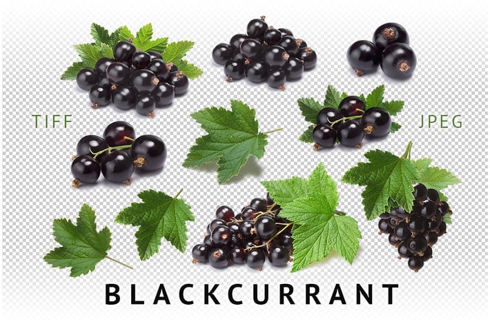 Blackcurrant