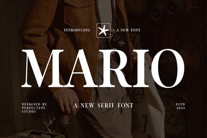 Mario Elegant Serif Font Typeface