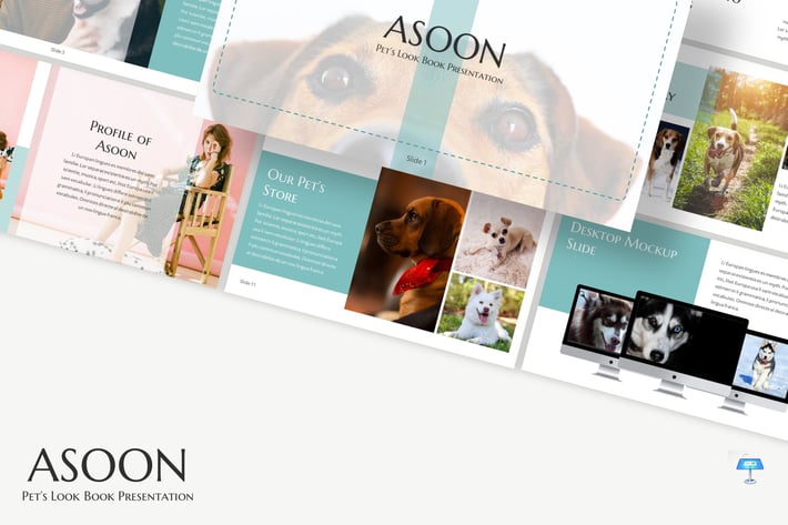 Asoon - Keynote Template