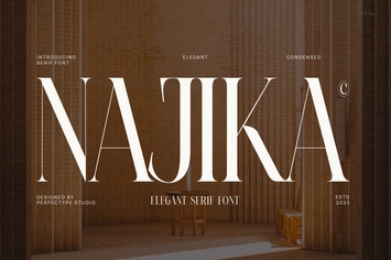 Najika Elegant Serif Font Typeface