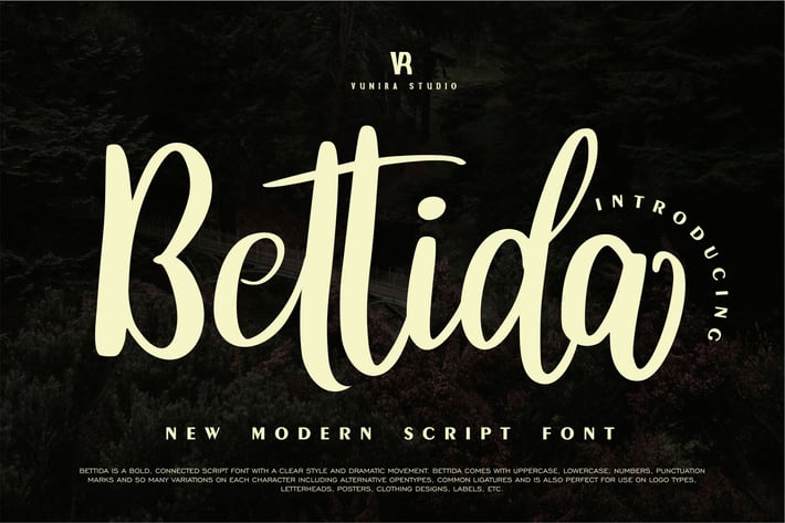 Bettida | Modern Script Font