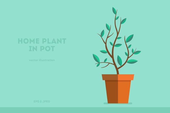 Home Plant Illustration