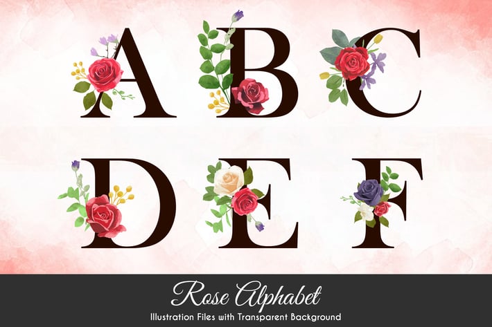 Watercolor Rose Illustration
