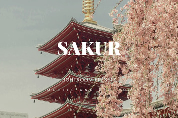 Sakur Lightroom Presets Dekstop and Mobile