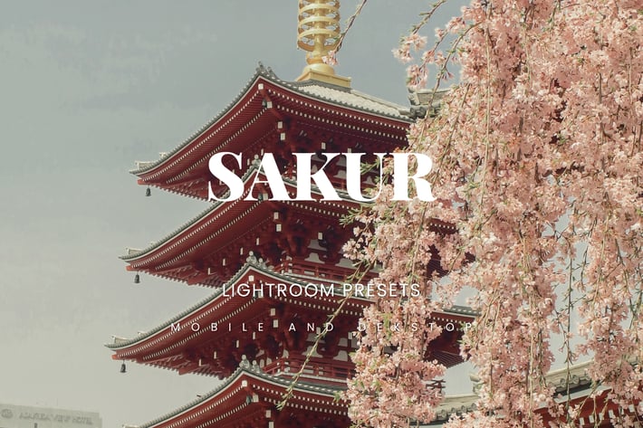 Sakur Lightroom Presets Dekstop and Mobile