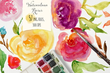 Watercolor Roses
