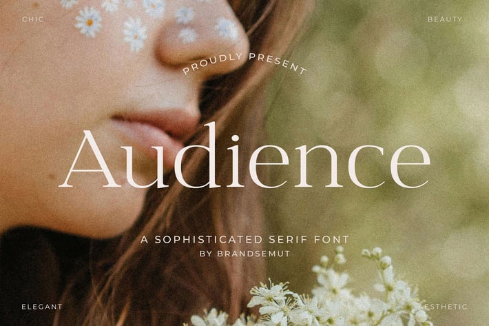 Audience - Sophisticated Serif Font