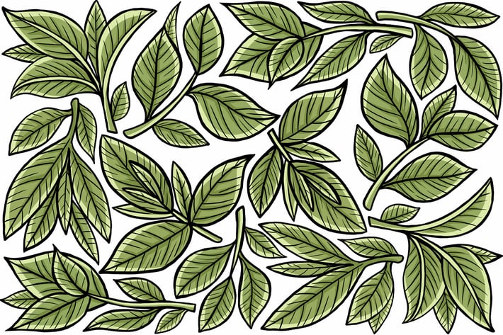 Leaf Graphic Element
