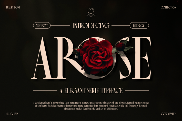 Arose - Elegant Serif Typeface