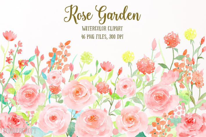 Watercolor Flower Collection Rose Garden