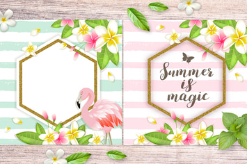 Tropical Summer Backgrounds