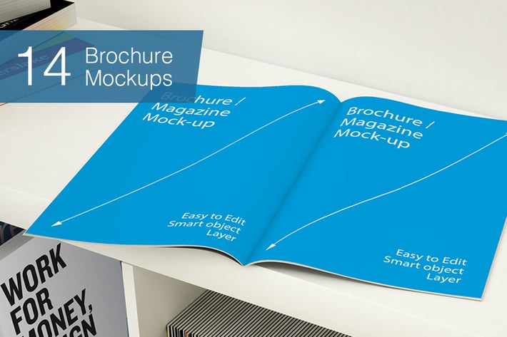Brochure Mockups - 14 poses