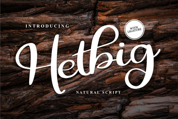 Hetbig | Natural Script Font