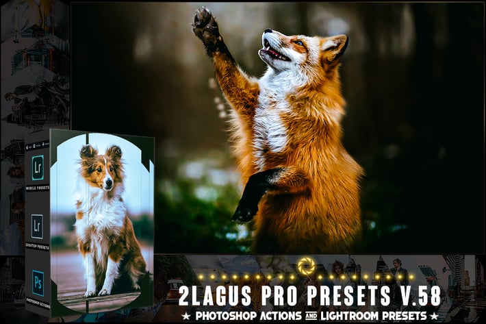 PRO Presets - V 58 - Photoshop & Lightroom