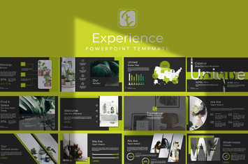 Experience Powerpoint