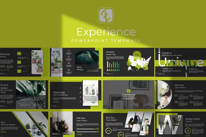 Experience Powerpoint