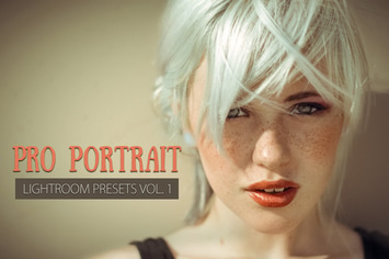 10 Portrait Lightroom Presets Ver. 1